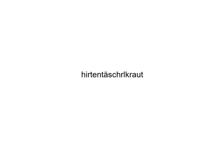 hirtentschrlkraut