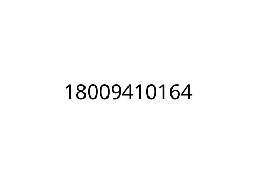 18009410164
