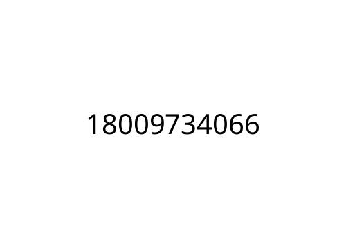 18009734066