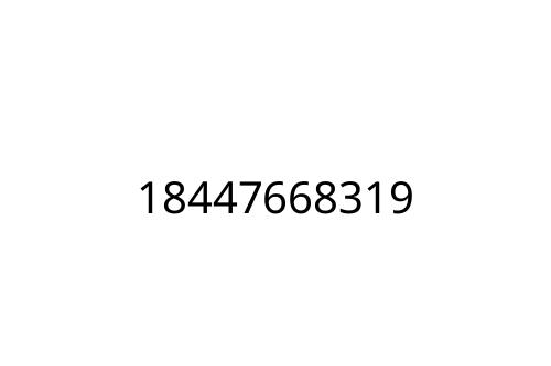 18447668319