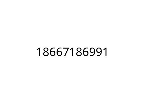 18667186991