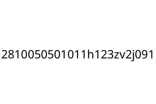 2810050501011h123zv2j091
