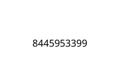 8445953399