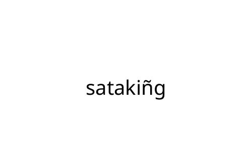 sataki_g