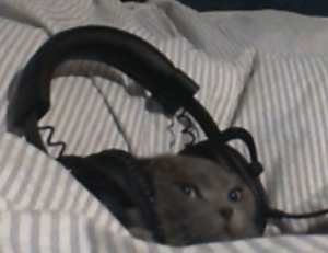 one of the shampoo ingredient luvizac