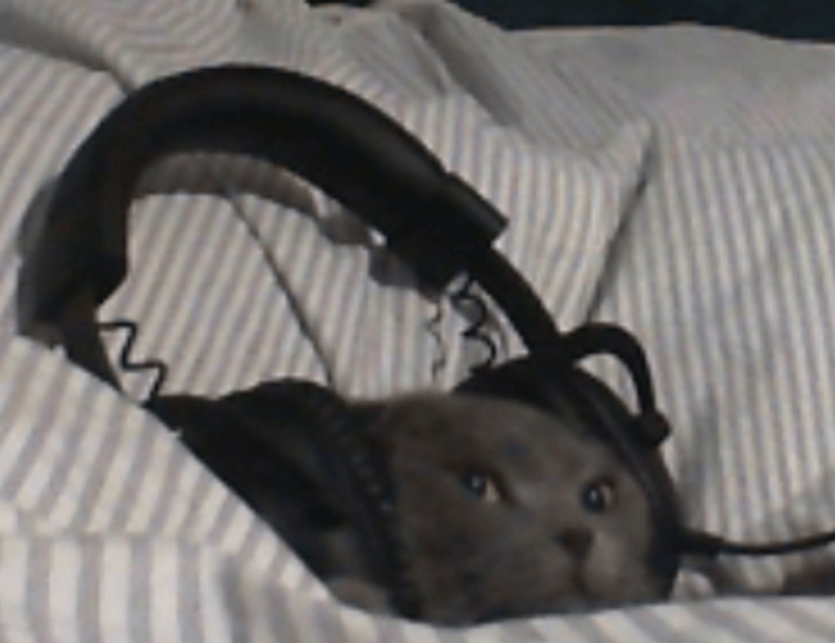 one of the shampoo ingredient luvizac