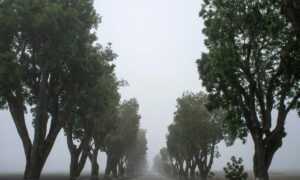 why updating immorpos35.3 software is important