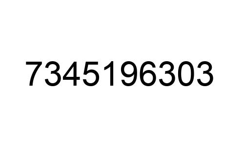7345196303