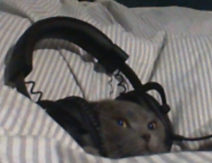 mr heang update fake