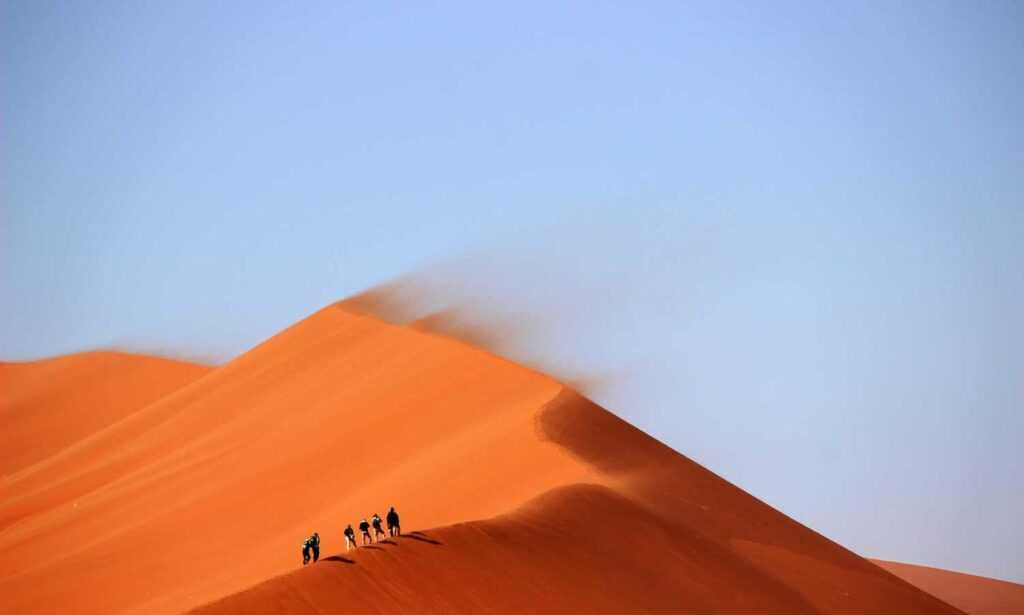 tony barber net worth