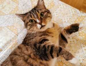 unalome tattoo senos