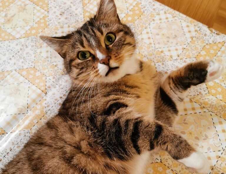 unalome tattoo senos