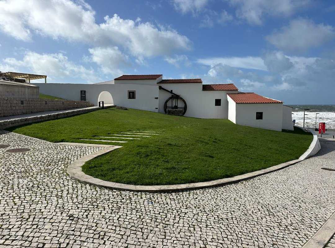 Hair Luvizac Ingredient