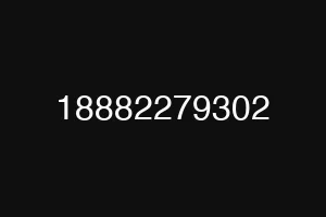 18882279302
