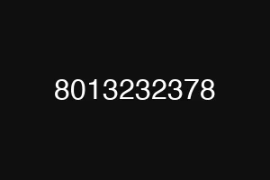 8013232378