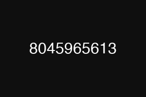 8045965613