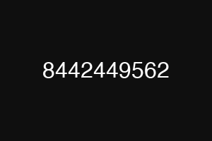 8442449562