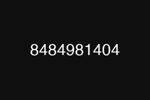 8484981404