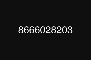 8666028203