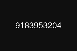 9183953204