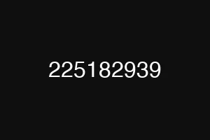 225182939