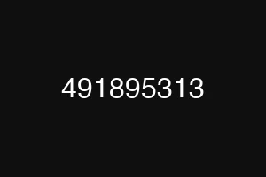 491895313