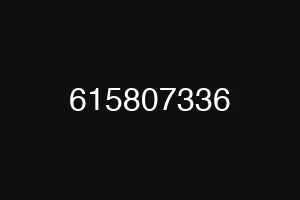 615807336