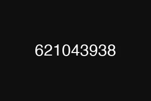 621043938