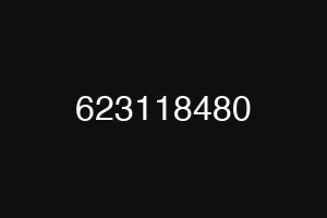623118480