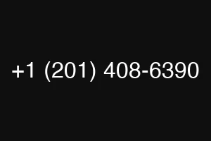 +1 (201) 408-6390