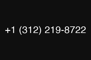 +1 (312) 219-8722