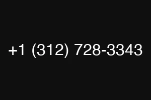 +1 (312) 728-3343
