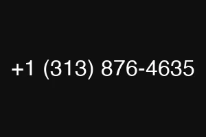 +1 (313) 876-4635