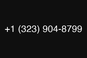 +1 (323) 904-8799