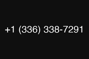 +1 (336) 338-7291