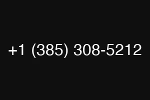+1 (385) 308-5212