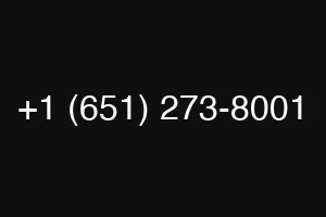 +1 (651) 273-8001