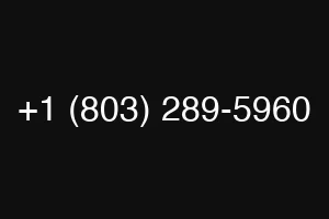 +1 (803) 289-5960