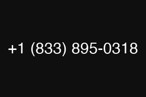 +1 (833) 895-0318