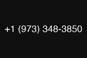 +1 (973) 348-3850